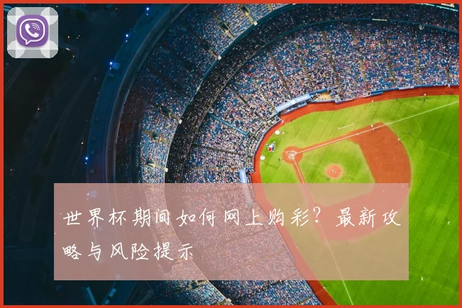 世界杯期间如何网上购彩？最新攻略与风险提示