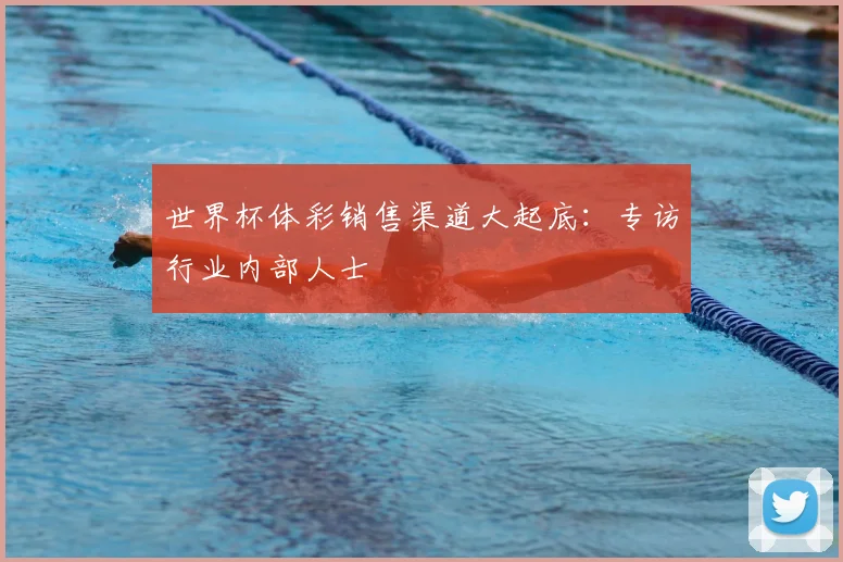 世界杯体彩销售渠道大起底：专访行业内部人士
