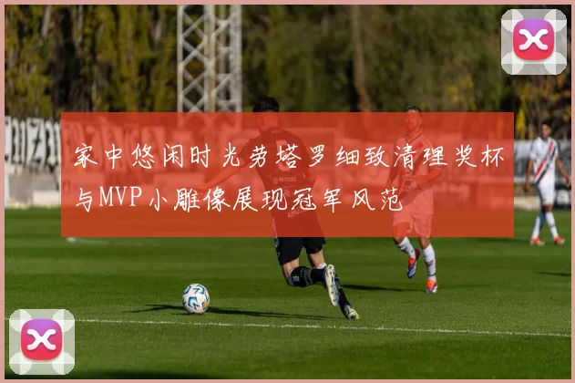 家中悠闲时光劳塔罗细致清理奖杯与MVP小雕像展现冠军风范