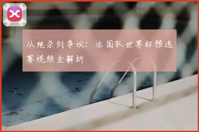 从绝杀到争议：法国队世界杯预选赛视频全解析