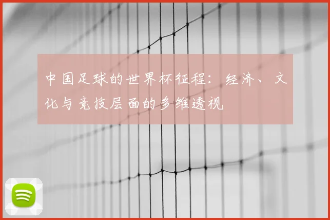 中国足球的世界杯征程：经济、文化与竞技层面的多维透视