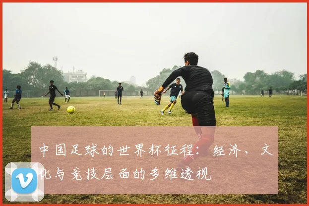 中国足球的世界杯征程:经济、文化与竞技层面的多维透视