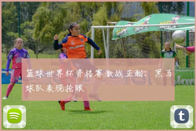 篮球世界杯资格赛激战正酣：黑马球队表现抢眼