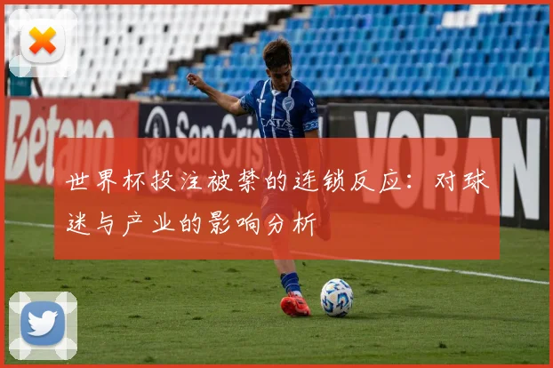 世界杯投注被禁的连锁反应：对球迷与产业的影响分析