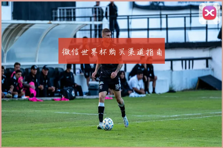 微信世界杯购买渠道指南